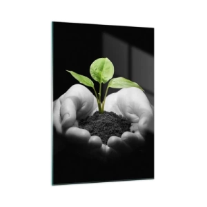 Cuadro sobre vidrio - Impresiones sobre Vidrio - Una planta joven en las manos sobre un fondo negro. - 50x70cm - Amo la naturaleza, la protejo - Decoración de pared moderna para salón y dormitorio ARTTOR