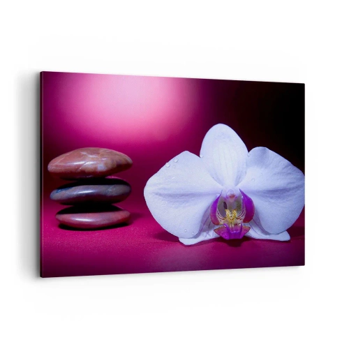 Cuadro sobre lienzo - Impresión de Imagen - Orquídea blanca y piedras sobre fondo rosa. - 100x70cm - Estudio de frescura en violeta - Decoración de pared moderna para salón y dormitorio ARTTOR