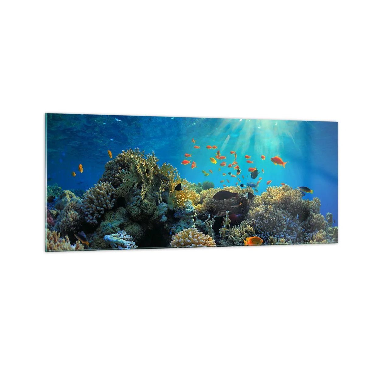 Cuadro sobre vidrio - Impresiones sobre Vidrio - Tesoros submarinos - 100x40 cm