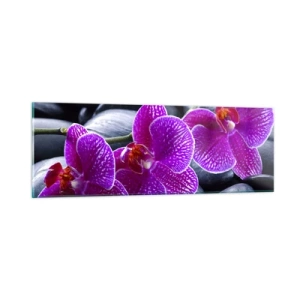 Cuadro sobre vidrio - Impresiones sobre Vidrio - Las piedras brillan con deleite - 90x30 cm