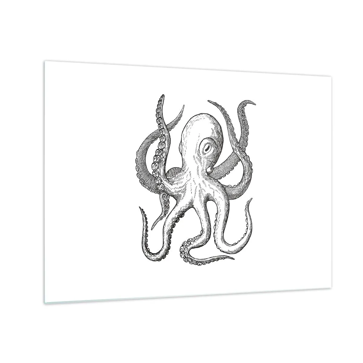 Cuadro sobre vidrio - Impresiones sobre Vidrio - Dibujo en blanco y negro de un pulpo sobre un fondo blanco. - 70x50cm - Bailando con olas - Decoración de pared moderna para salón y dormitorio ARTTOR