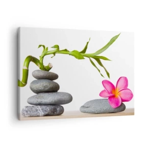 Cuadro sobre lienzo - Impresión de Imagen - Bambú y flor rosa sobre piedras de estilo zen - 70x50cm - Colores de la vida y duración - Decoración de pared moderna para salón y dormitorio ARTTOR