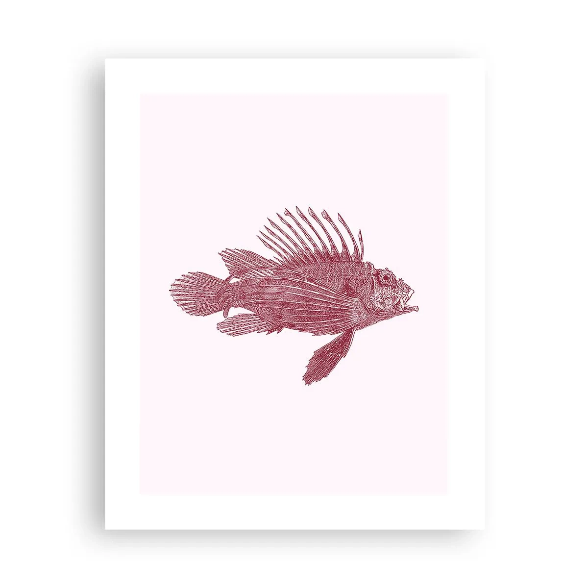 Póster - Un habitante de aguas exóticas - 40x50 cm