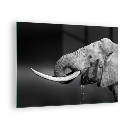 Cuadro sobre vidrio - Impresiones sobre Vidrio - Retrato en blanco y negro de un elefante con trompa. - 70x50cm - Majestuoso - Decoración de pared moderna para salón y dormitorio ARTTOR