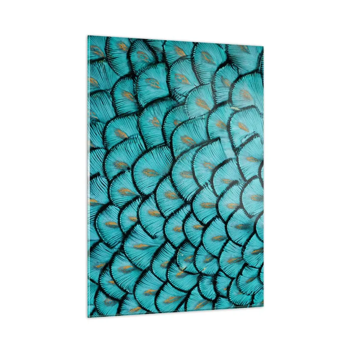 Cuadro sobre vidrio - Impresiones sobre Vidrio - Un primer plano de plumas de pavo real turquesa que forman un patrón decorativo. - 50x70cm - La gran gala de las plumas - Decoración de pared moderna para salón y dormitorio ARTTOR