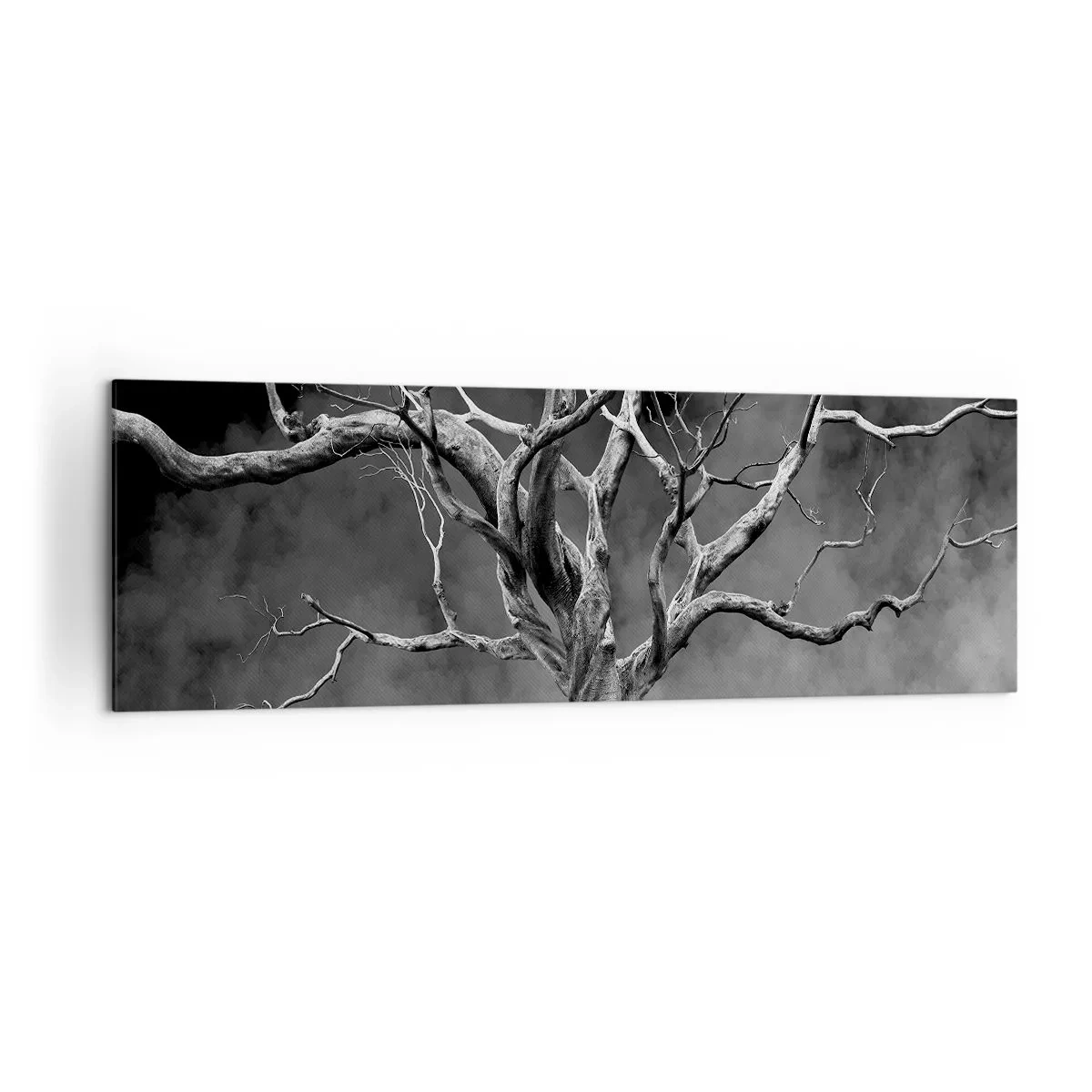 Cuadro sobre lienzo - Impresión de Imagen - Un árbol seco en blanco y negro contra la niebla. - 160x50cm - Primordial y sagrado - Decoración de pared moderna para salón y dormitorio ARTTOR
