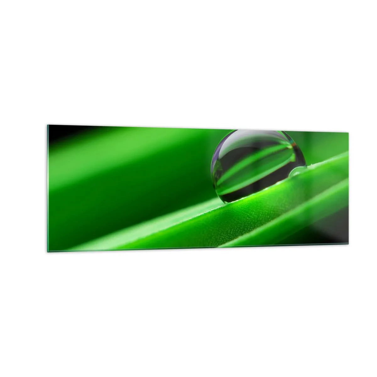 Cuadro sobre vidrio - Impresiones sobre Vidrio - Primer plano de una gota de rocío sobre una hoja verde - 140x50cm - La vida de cerca - Decoración de pared moderna para salón y dormitorio ARTTOR