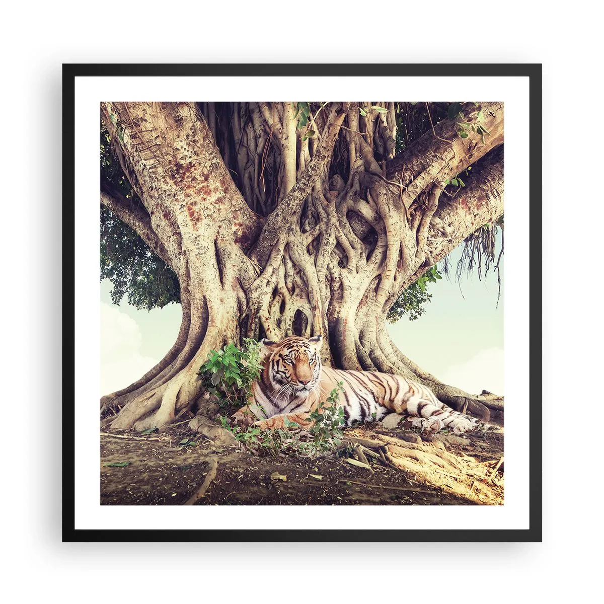 Póster en marco negro - Una visión desde el Génesis - 60x60 cm