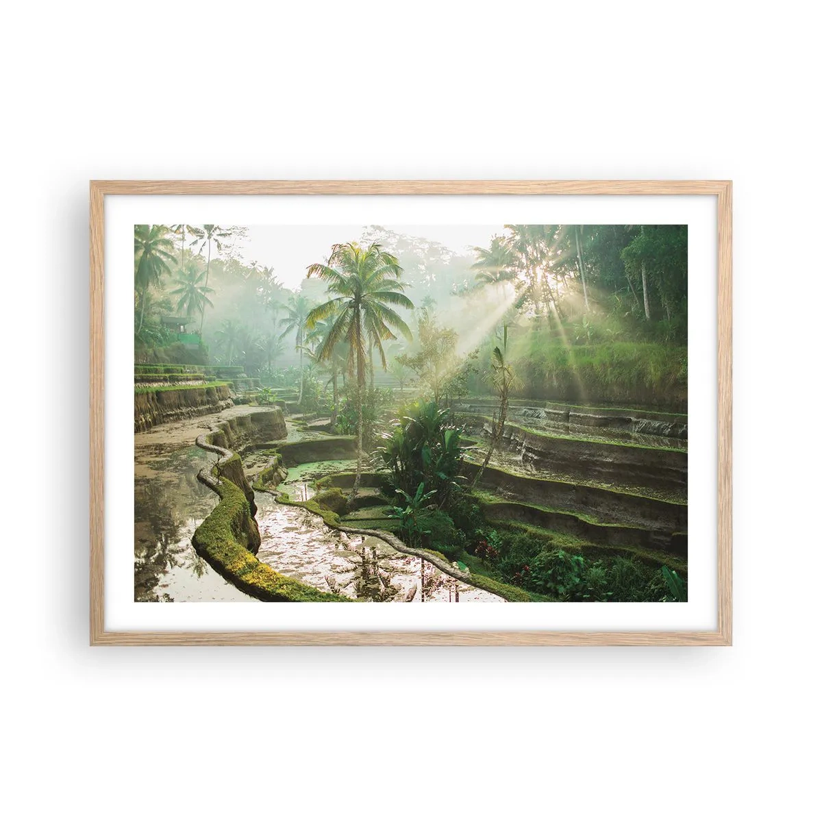 Póster en marco roble claro - Crecer bajo el sol - 70x50 cm