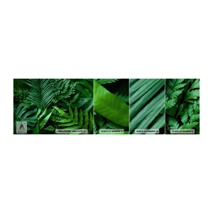 Muestra De Fotomural Standard Eco - Abrazo verde - Planta exótica, Hoja de palma, hoja de monstera - 100x30 cm