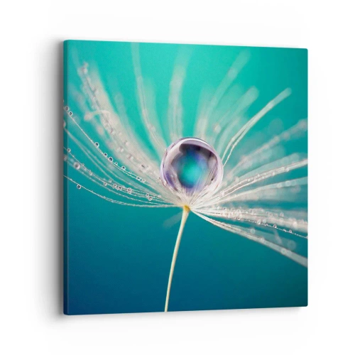 Cuadro sobre lienzo - Impresión de Imagen - Momento místico - 40x40 cm