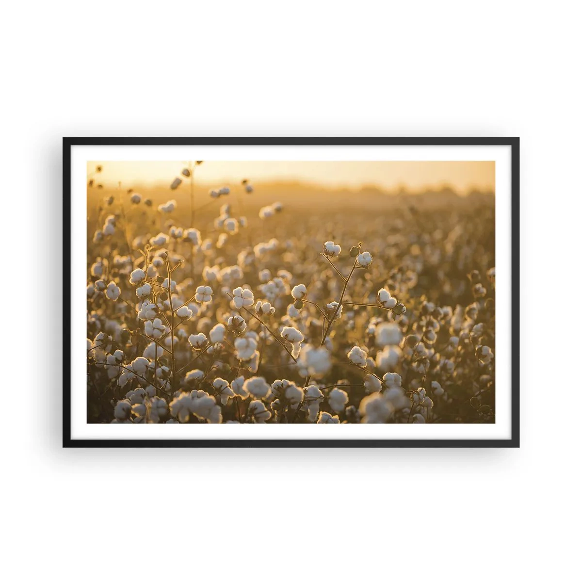 Póster en marco negro - Un campo esponjoso - 91x61 cm