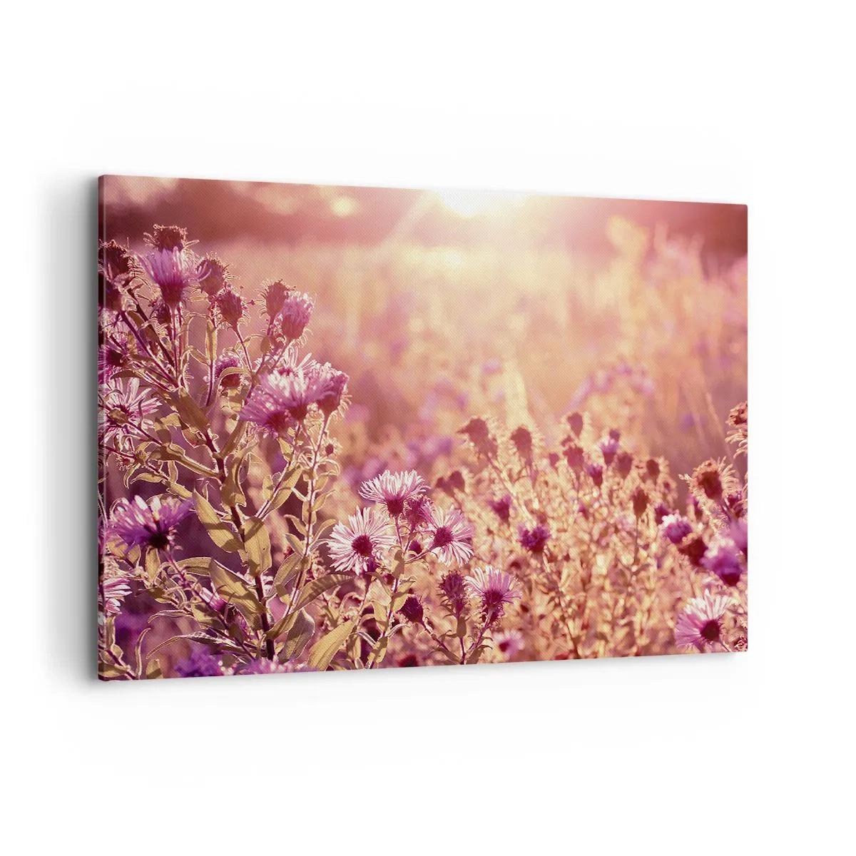 Cuadro sobre lienzo - Impresión de Imagen - Pradera a la luz del sol poniente - 120x80cm - Antes de que se acabe el verano - Decoración de pared moderna para salón y dormitorio ARTTOR