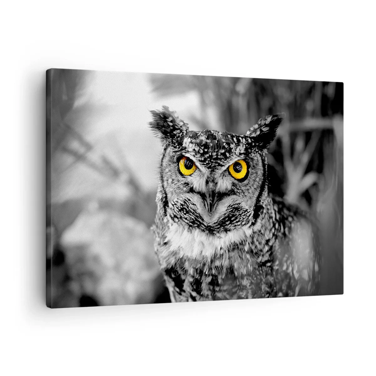 Cuadro sobre lienzo - Impresión de Imagen - Una fotografía en blanco y negro de un búho con ojos amarillos. - 70x50cm - Nada se puede ocultar - Decoración de pared moderna para salón y dormitorio ARTTOR