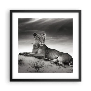 Póster en marco negro - Descanso de la reina del desierto - 40x40 cm