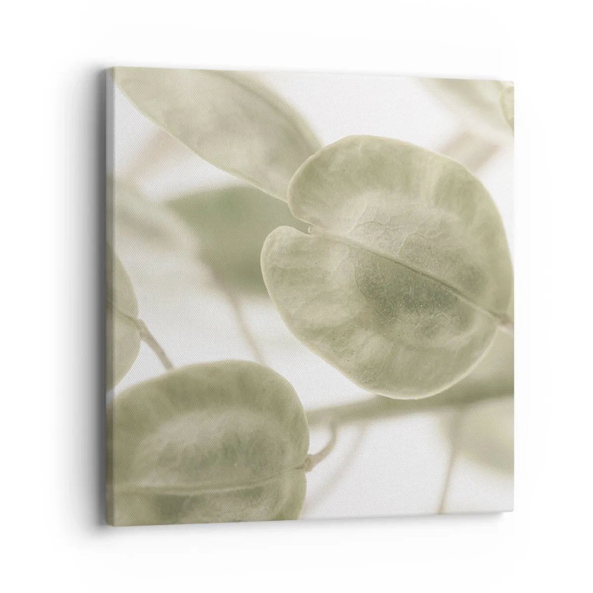 Cuadro sobre lienzo - Impresión de Imagen - Al principio de los tiempos había hojas... - 40x40 cm