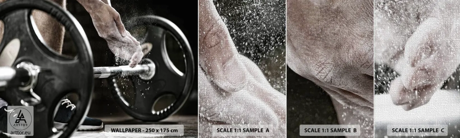 Muestra de fotomural Premium Canvas - ¡Reto aceptado! - Deporte, Gimnasia, Levantamiento de pesas - 100x30 cm