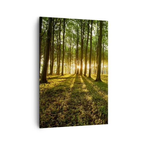 Cuadro sobre lienzo - Impresión de Imagen - El sol poniente en el bosque caducifolio - 70x100cm - Una fotografía de todos los manantiales - Decoración de pared moderna para salón y dormitorio ARTTOR