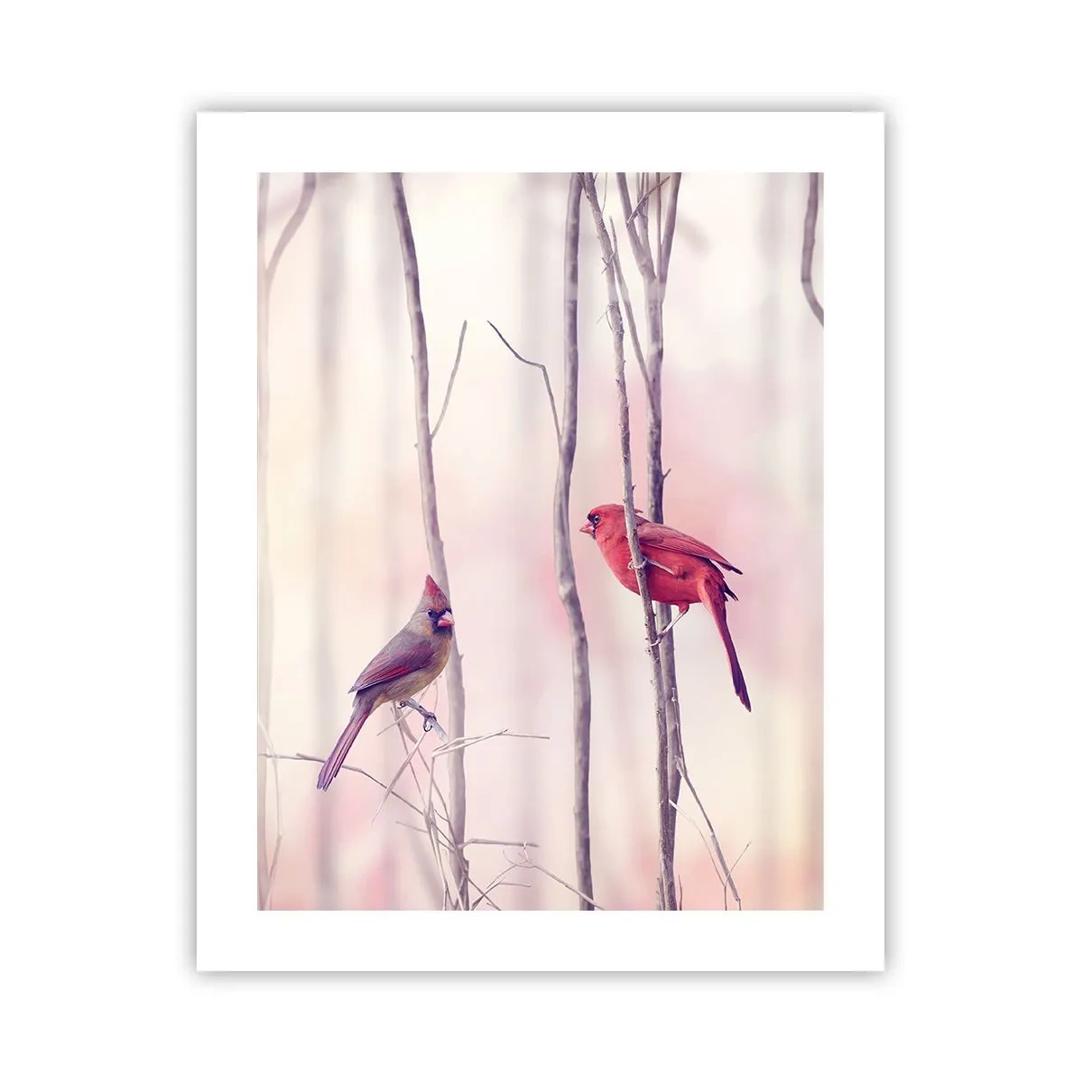 Póster - Historia de un bosque rosa - 40x50 cm