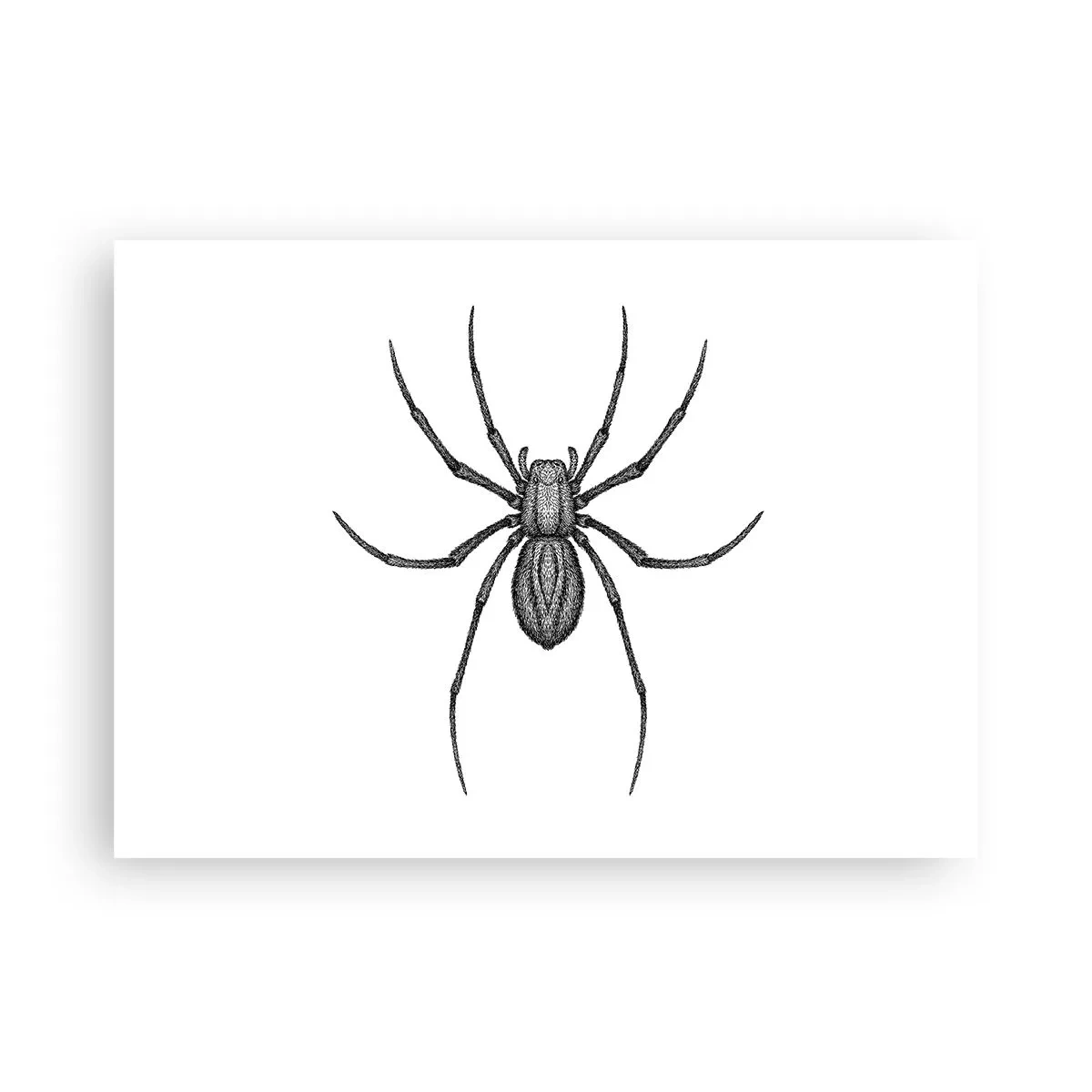 Póster - Precisión inquietante - 70x50 cm