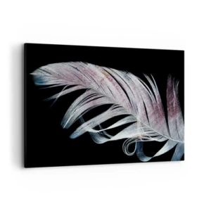 Cuadro sobre lienzo - Impresión de Imagen - Una delicada pluma sobre un fondo negro en un enfoque artístico. - 100x70cm - Piensa en el tacto - Decoración de pared moderna para salón y dormitorio ARTTOR