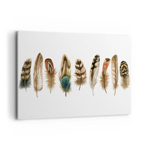 Cuadro sobre lienzo - Impresión de Imagen - Motivo decorativo de una colección de varias plumas. - 100x70cm - Estudio de plumas - Decoración de pared moderna para salón y dormitorio ARTTOR