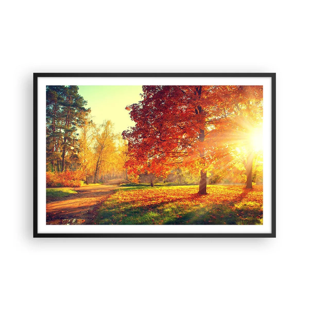 Póster en marco negro - El rojo es hermoso - 91x61 cm