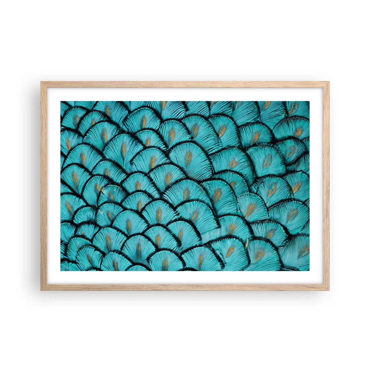 Póster en marco roble claro - La gran gala de las plumas - 70x50 cm