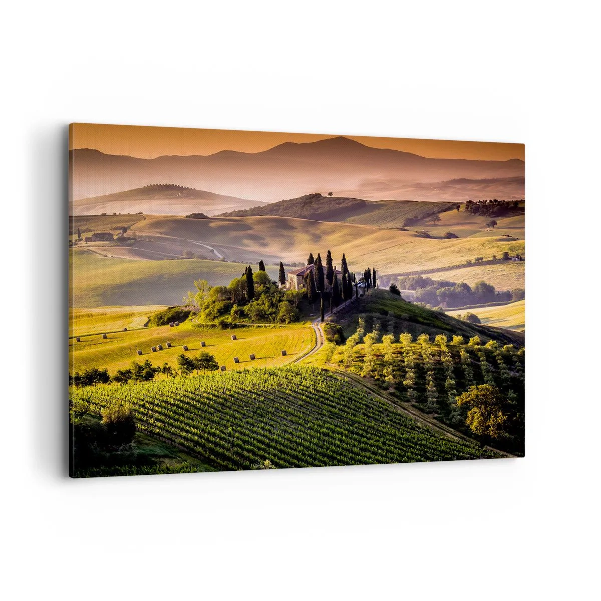 Cuadro sobre lienzo - Impresión de Imagen - Paisaje toscano con viñedos y una casa en una colina. - 100x70cm - Paisaje toscano - Decoración de pared moderna para salón y dormitorio ARTTOR