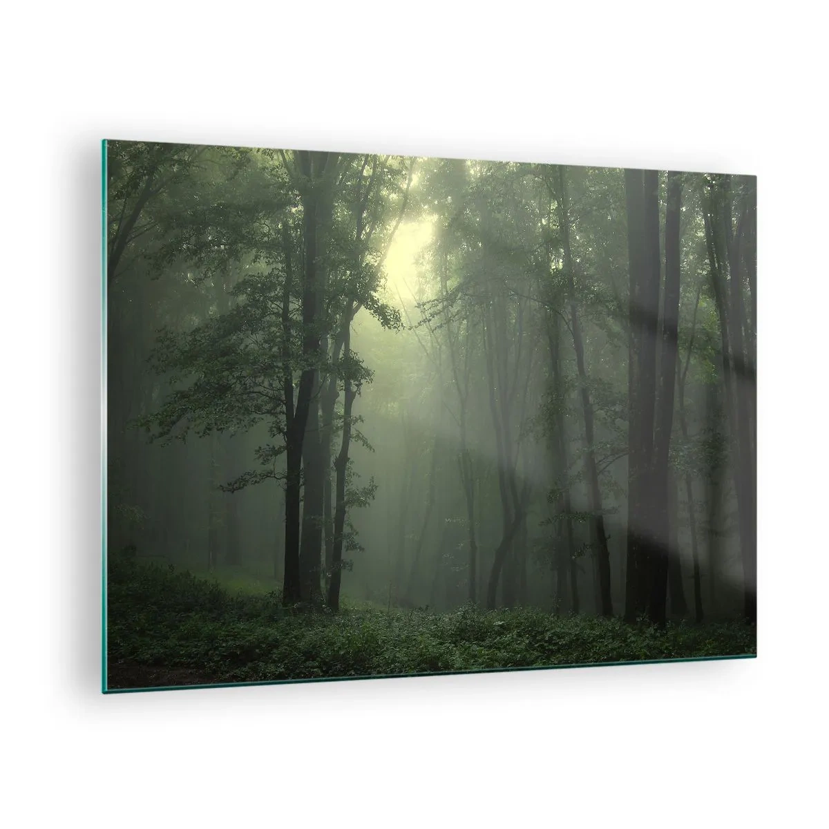 Cuadro sobre vidrio - Impresiones sobre Vidrio - Un bosque oscuro envuelto en niebla con rayos de luz. - 70x50cm - Antes de que se despierte el bosque - Decoración de pared moderna para salón y dormitorio ARTTOR