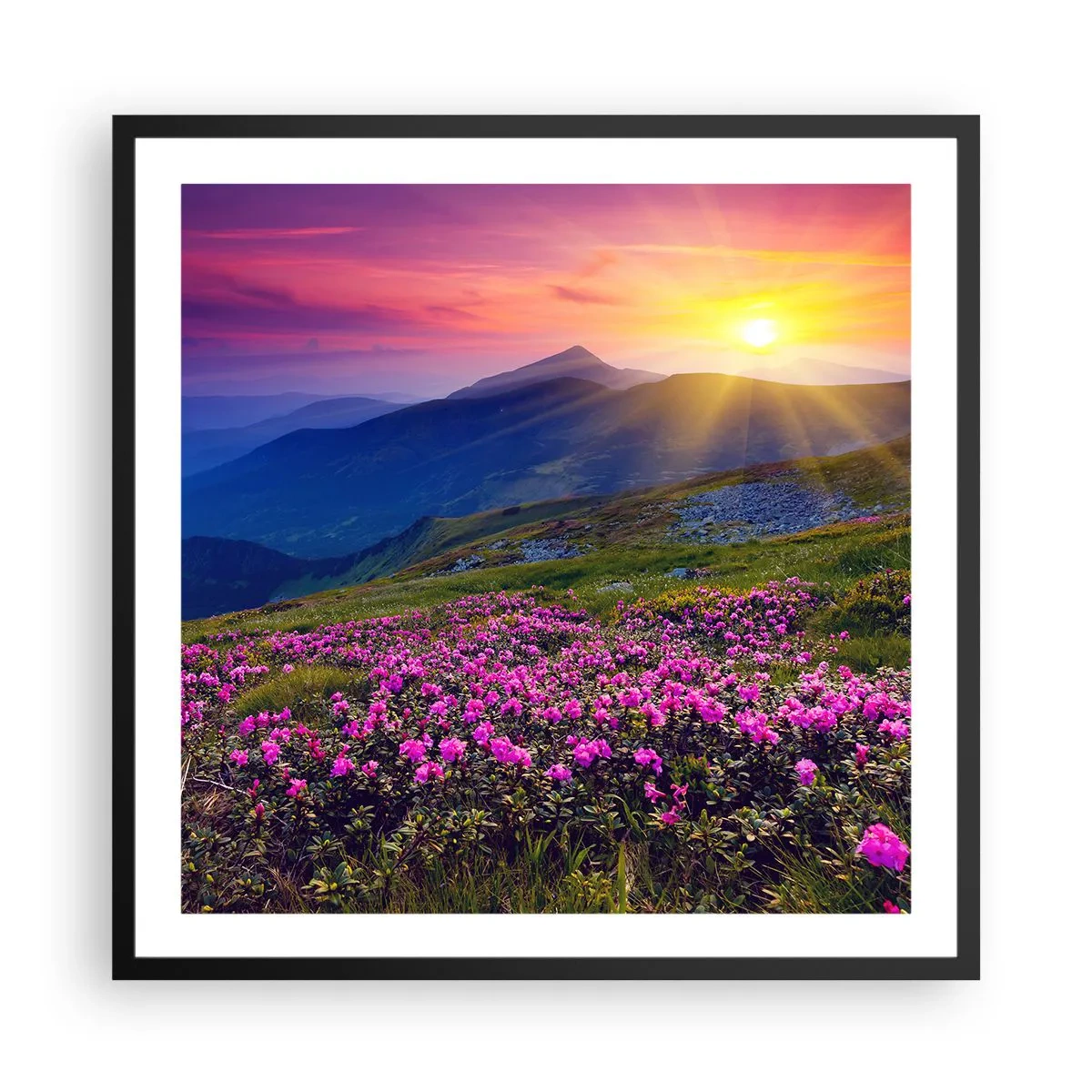 Póster en marco negro - ... Y el aroma a hierbas está por todas partes - 60x60 cm