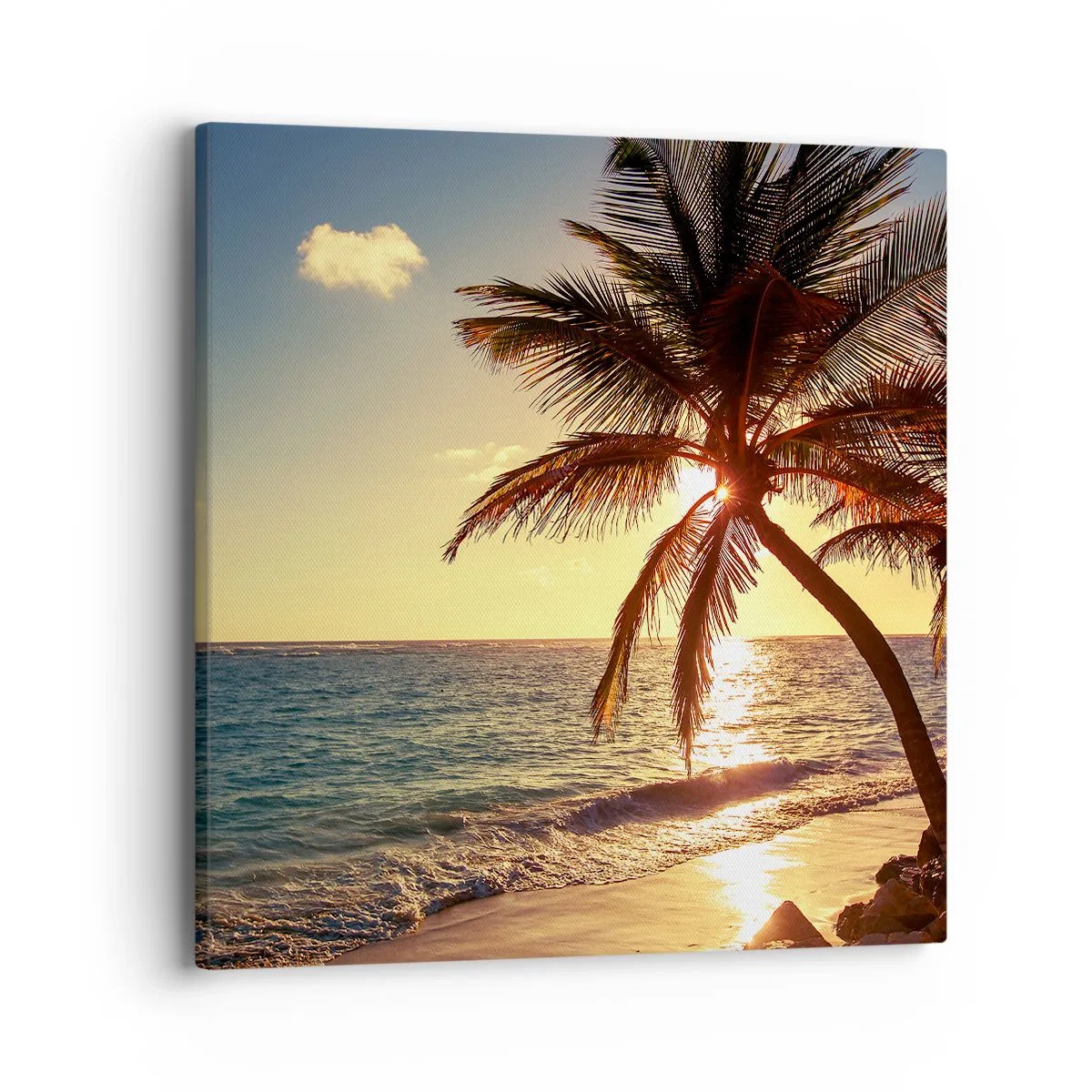 Cuadro sobre lienzo - Impresión de Imagen - Verano bajo las palmeras - 40x40 cm