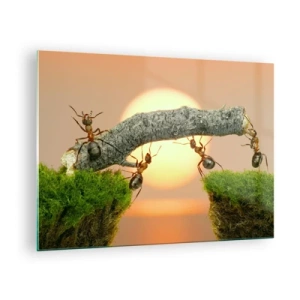Cuadro sobre vidrio - Impresiones sobre Vidrio - Hormigas construyendo un puente al atardecer - 70x50cm - Trabajar juntos con alegría - Decoración de pared moderna para salón y dormitorio ARTTOR