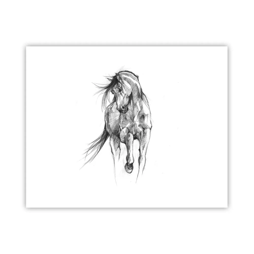 Póster - En un elegante trote - 50x40 cm