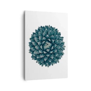 Cuadro sobre lienzo - Impresión de Imagen - Planta suculenta simétrica sobre un fondo blanco. - 70x100cm - Estrella del desierto - Decoración de pared moderna para salón y dormitorio ARTTOR