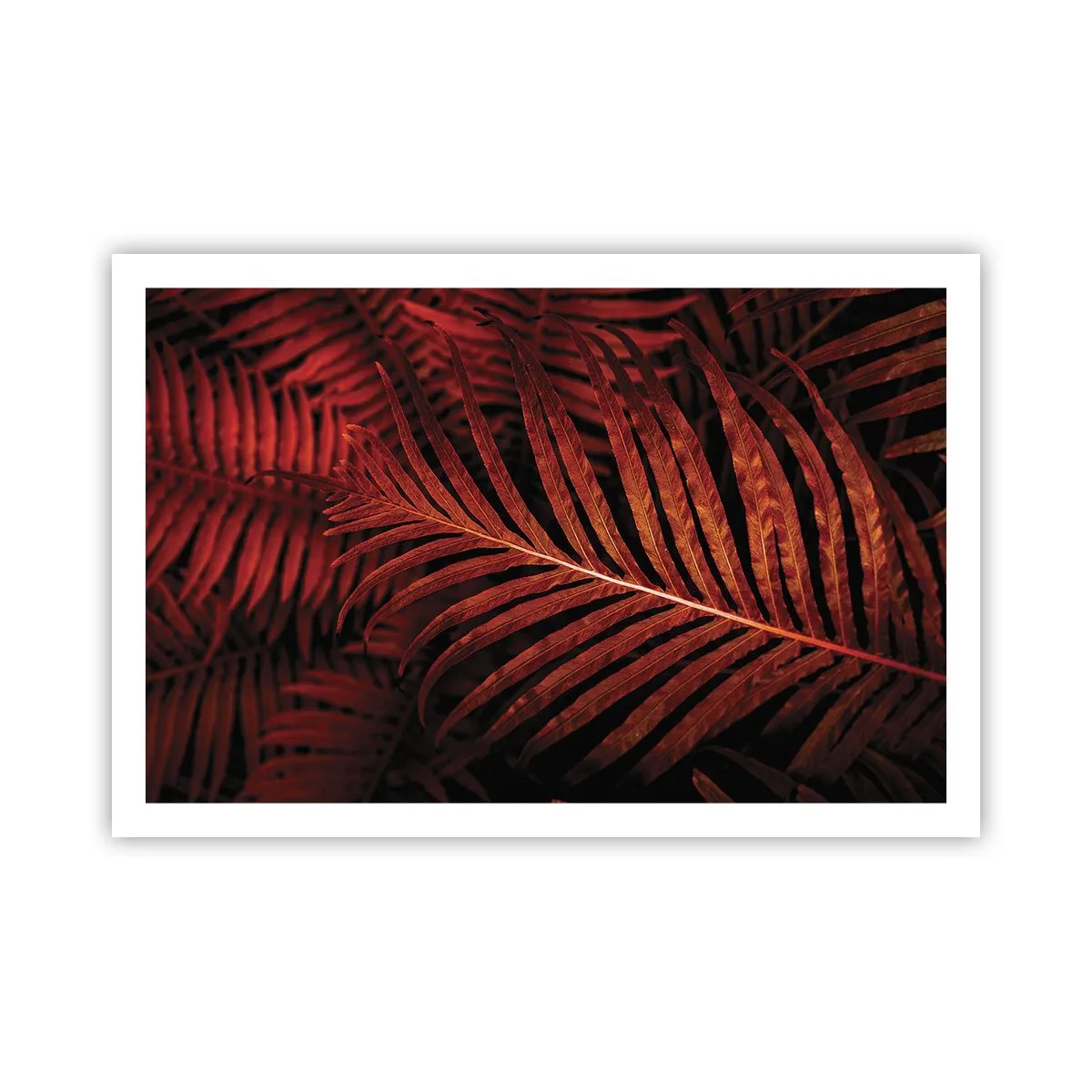 Póster - Las brasas de la vida - 91x61 cm