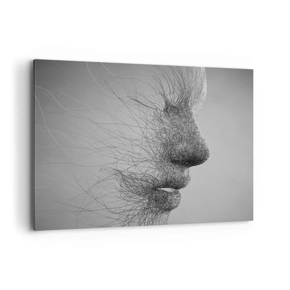 Cuadro sobre lienzo - Impresión de Imagen - Perfil facial artístico creado con líneas delicadas. - 100x70cm - Espíritu del viento - Decoración de pared moderna para salón y dormitorio ARTTOR