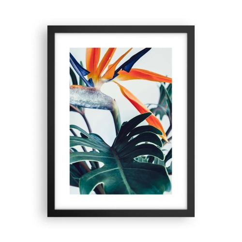 Póster en marco negro - La jaula del pájaro colorido - 30x40 cm