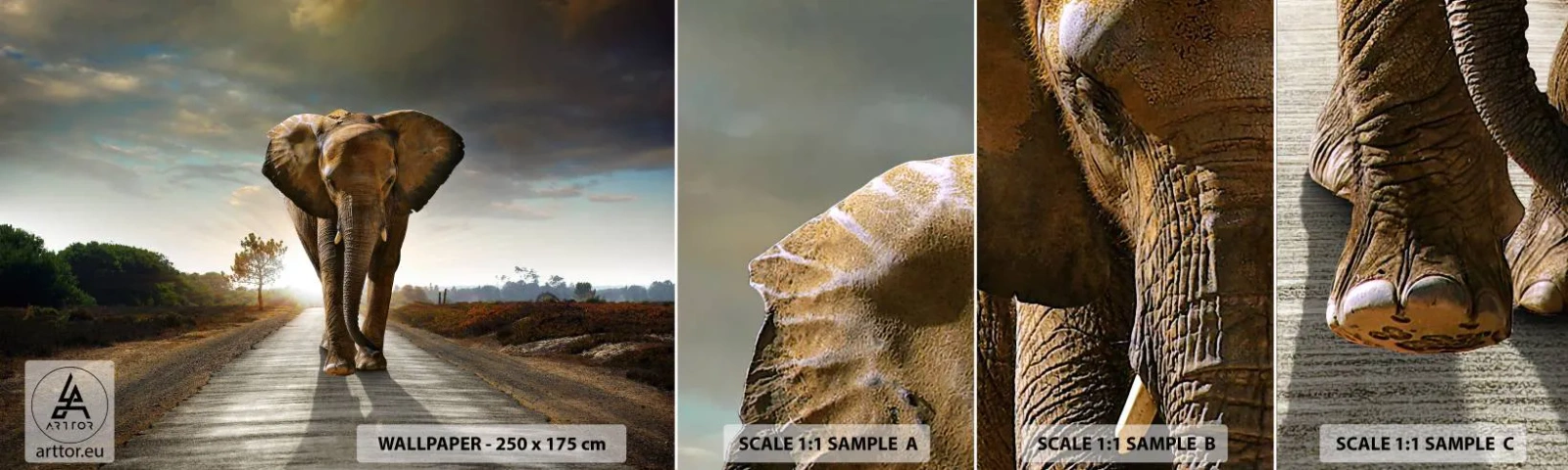 Muestra De Fotomural Standard Eco - Y para nada en un almacén de porcelana - Elefante, Paisaje, Naturaleza - 100x30 cm