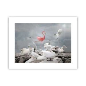 Póster - ¿De dónde vengo? - 40x30 cm