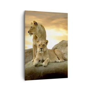 Cuadro sobre lienzo - Impresión de Imagen - Dos leonas descansando sobre una roca durante la puesta de sol - 70x100cm - Majestuosidad real - Decoración de pared moderna para salón y dormitorio ARTTOR