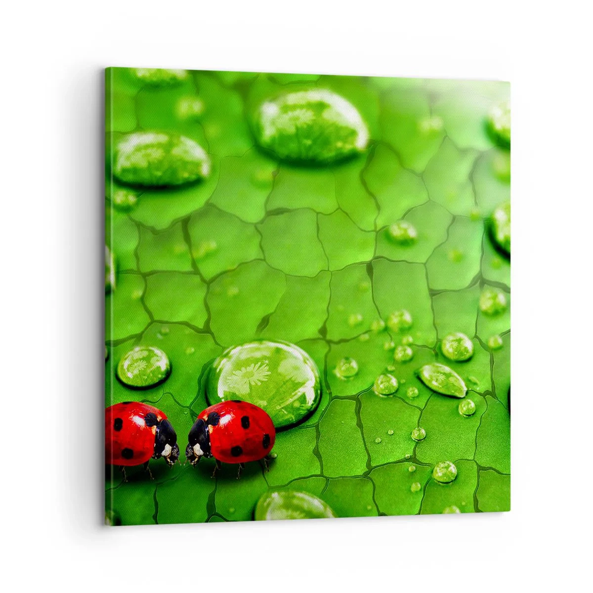 Cuadro sobre lienzo - Impresión de Imagen - Reunión sobre verde - 60x60 cm