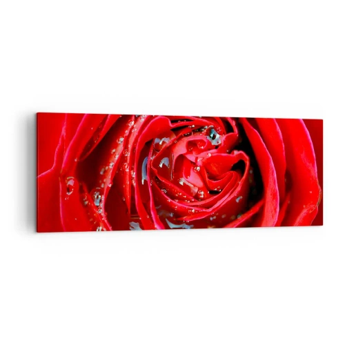 Cuadro sobre lienzo - Impresión de Imagen - Primer plano de una rosa roja con gotas de agua en los pétalos. - 140x50cm - En gotas de rocío - Decoración de pared moderna para salón y dormitorio ARTTOR