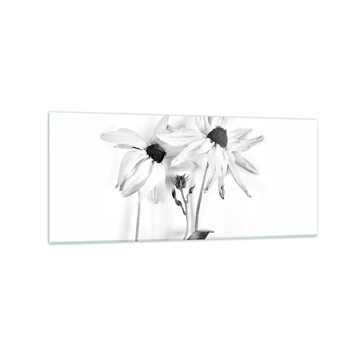 Cuadro sobre vidrio - Impresiones sobre Vidrio - Flores en blanco y negro con una composición sutil. - 120x50cm - Nadie quiere estar solo - Decoración de pared moderna para salón y dormitorio ARTTOR