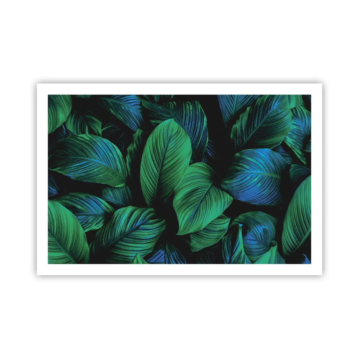 Póster - En la multitud verde - 91x61 cm