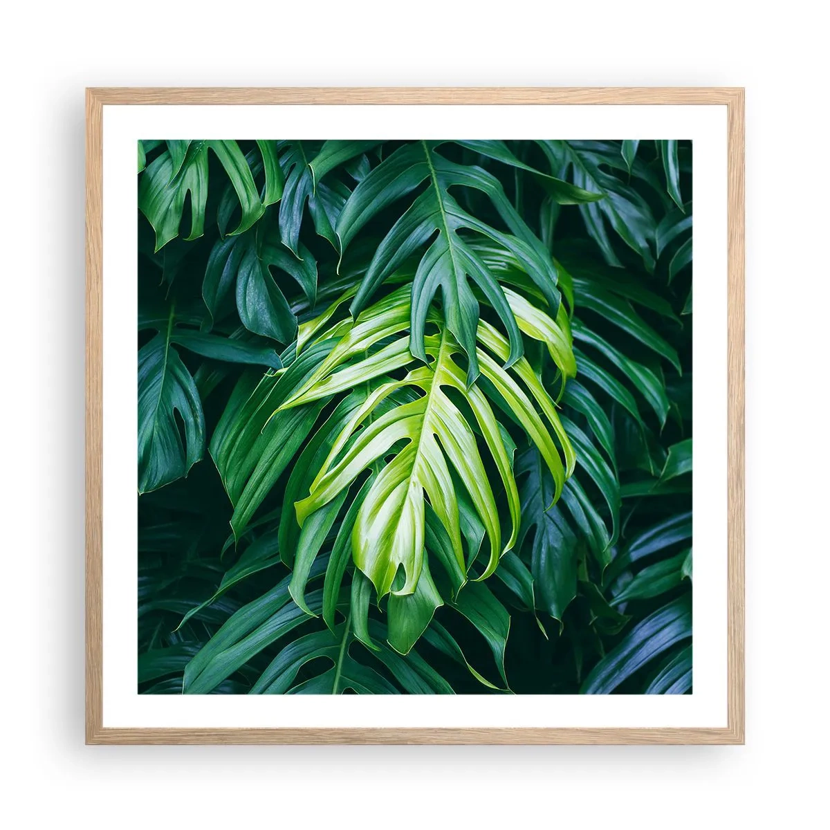 Póster en marco roble claro - Sumérjase en la frescura - 60x60 cm