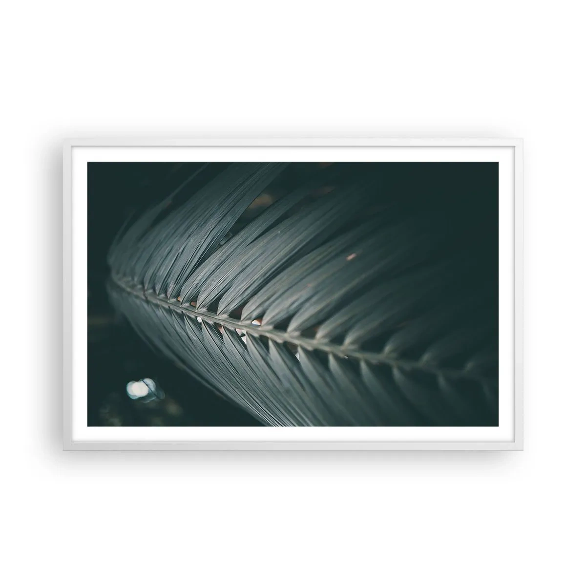 Póster en marco blanco - La precisión de la naturaleza - 91x61 cm