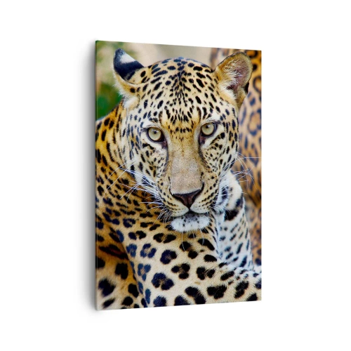 Cuadro sobre lienzo - Impresión de Imagen - Jaguar descansando en un entorno natural con fondo verde. - 70x100cm - Salvaje y tranquilo - Decoración de pared moderna para salón y dormitorio ARTTOR