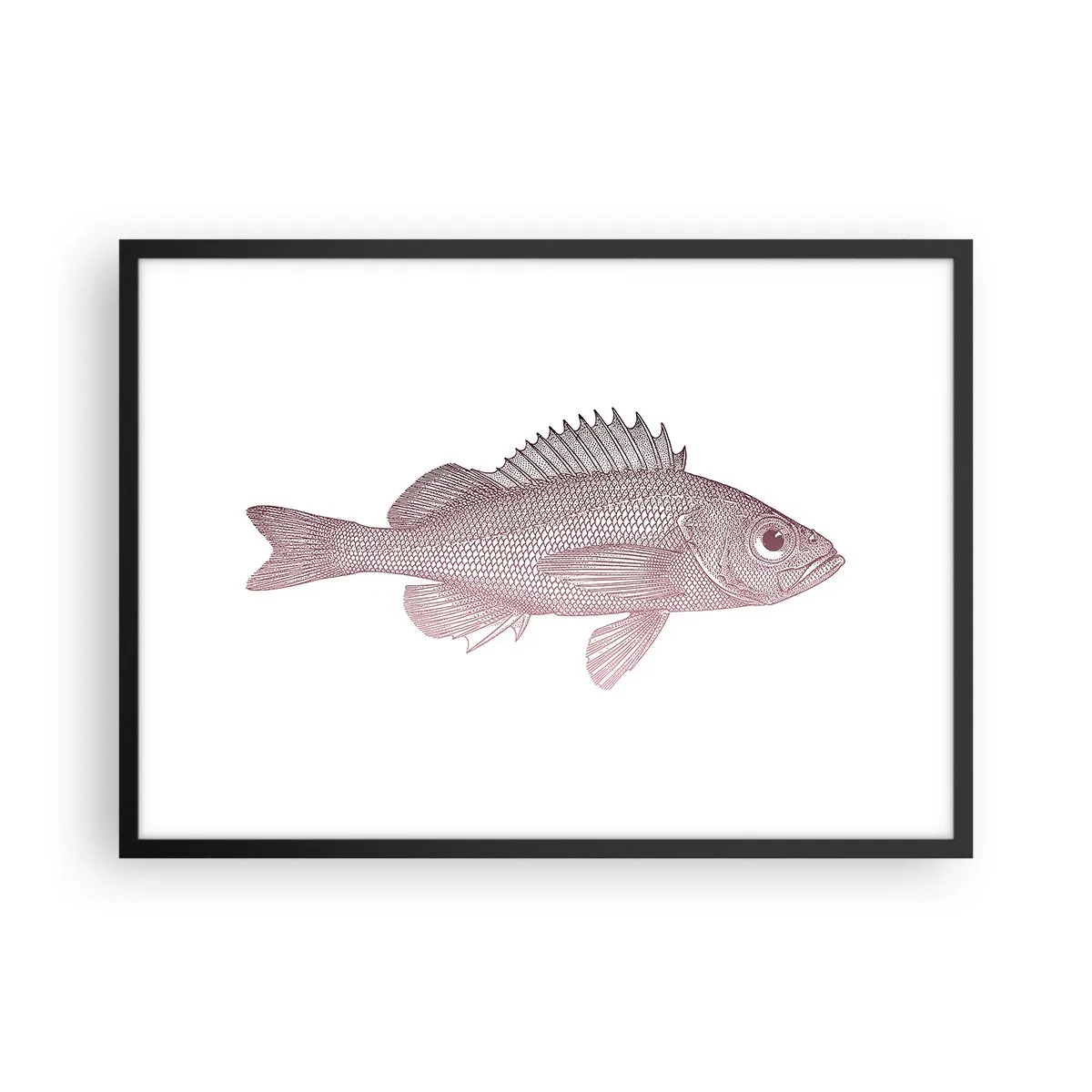 Póster en marco negro - Ilustración detallada de un pez sobre un fondo blanco. - 70x50cm - Pez de ojos grandes - Decoración de pared moderna para salón y dormitorio ARTTOR