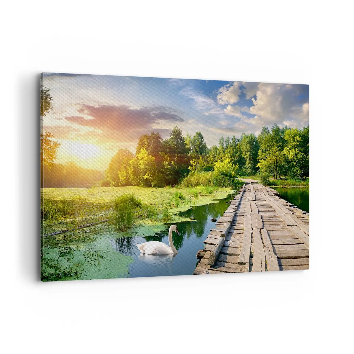Cuadro sobre lienzo - Impresión de Imagen - Un paisaje pintoresco con un puente y un cisne. - 100x70cm - Verano, verano en todas partes - Decoración de pared moderna para salón y dormitorio ARTTOR